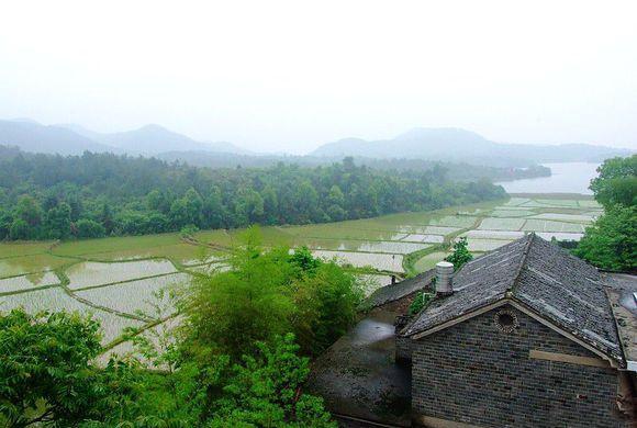 三亿体育手机版