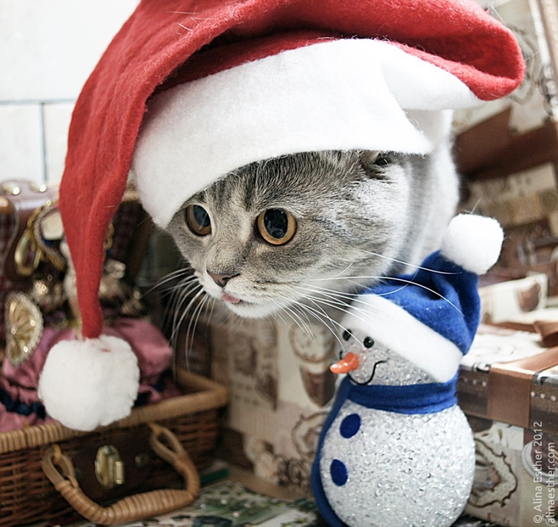 篮板下少年集结 王大陆Justin黄明昊暂别演艺圈“三亿体育