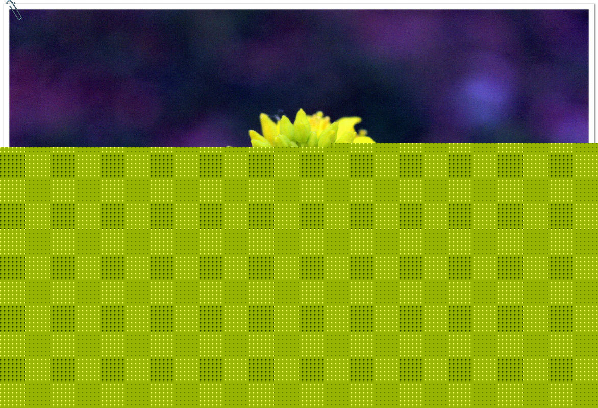 “三亿体育手机版”《太白剑》腾讯视频定档，9月20日神兵现世