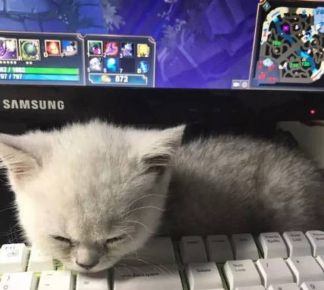 三亿体育手机版-交通部：正在研究起草无人驾驶上路测试技术规范