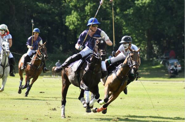 “三亿体育”油脂期货集体反弹 棕榈油主力合约涨逾4%(图3) 三亿体育官网