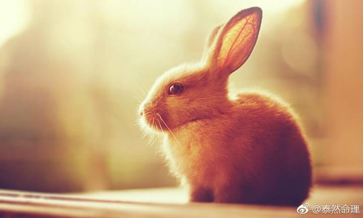 协鑫集成上半年净利润同比增长6.53%_三亿体育手机版(图2) 三亿体育