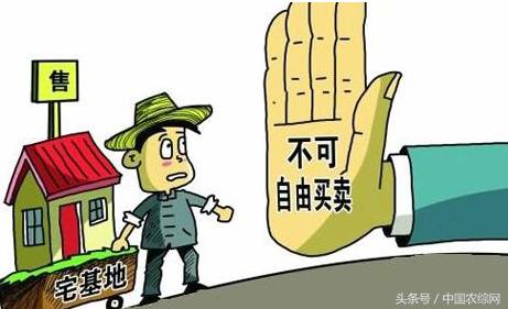 三亿体育:上海金山消防着力提升石油化工灭火救援硬实力(图2) 三亿体育