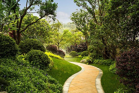 三亿体育手机版：允许“兼职兼薪”是创新时代的选择