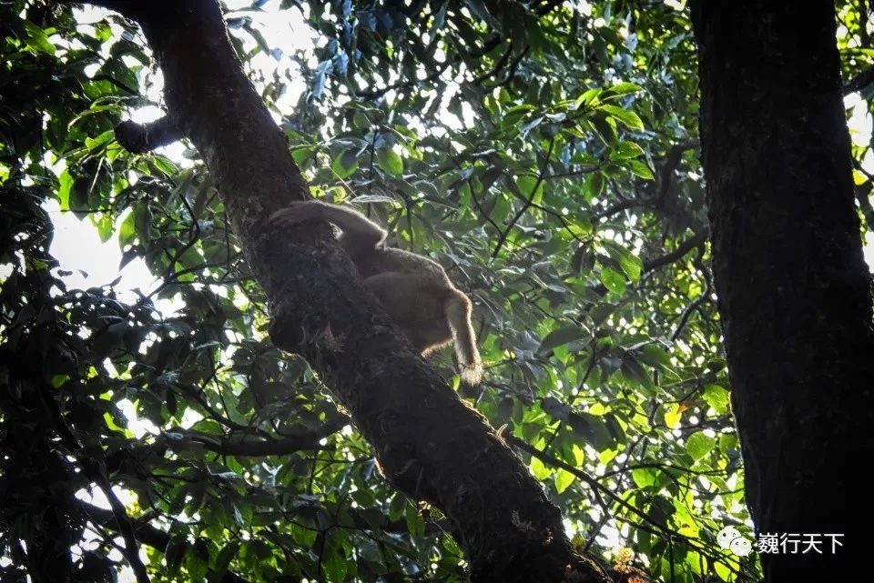 自动消防系统使用中存在的问题及对策“三亿体育”