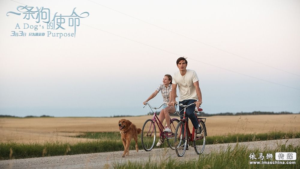 三亿体育|要揪出“医疗野广告”背后的骗人神医