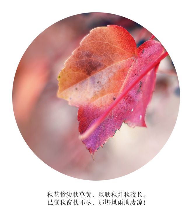 三亿体育